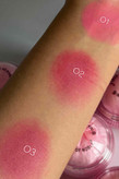 رژگونه پودری پرنسسی پددار